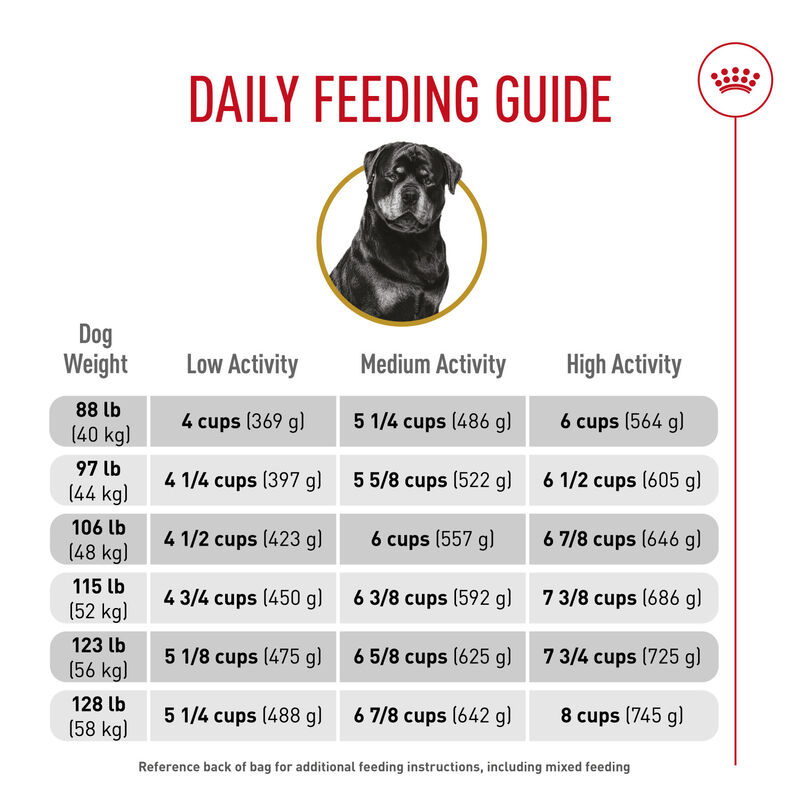 Royal Canin, Breed Health Nutrition Rottweiler Adult - Dry Dog Food image number null