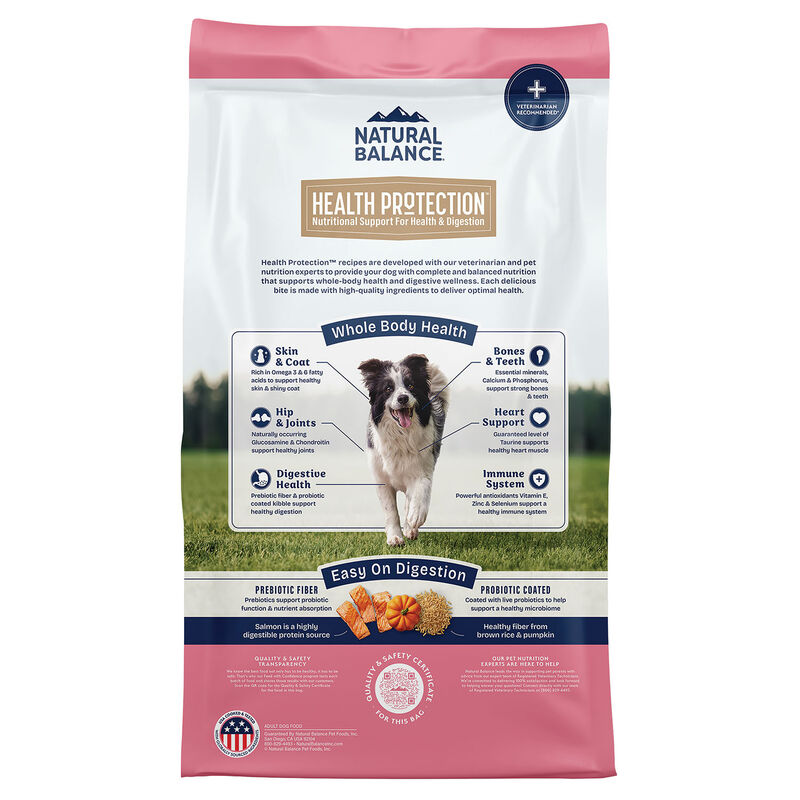 Natural Balance, Health Protection - Real Salmon, Brown Rice & Pumpkin Recipe - Dry Dog Food image number null
