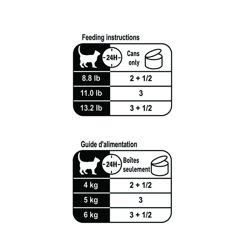 Royal Canin, Feline Health Nutrition Aging 12+ Thin Slices In Gravy - Wet Cat Food image number null