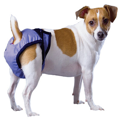 Pooch Pad, PoochPants - Diaper - X-Small - 4 - 8 lbs