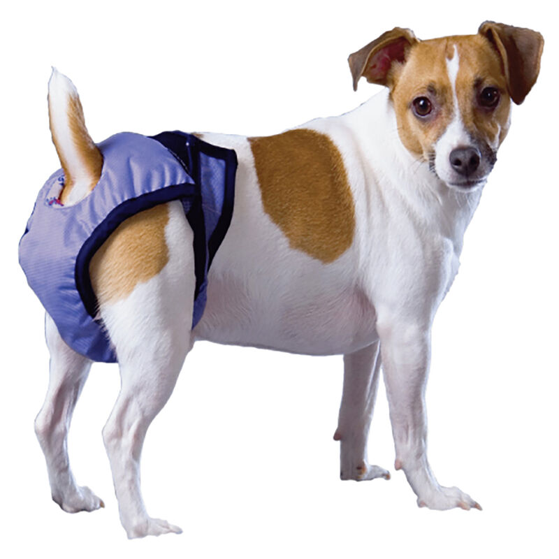 Pooch Pad, PoochPants - Diaper - X-Small - 4 - 8 lbs image number null