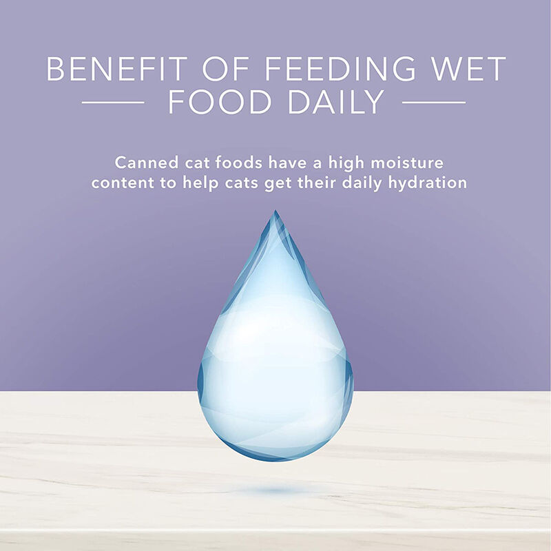 Blue Buffalo, Can, Feline Adult - True Solutions - Urinary Care - Wet Cat Food image number null
