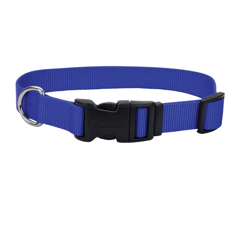 Adjustable Dog Collar with Plastic Buckle, Blue, Extra Small - 3/8" x 8"-12" image number null