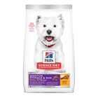 Science Diet, Adult Sensitive Stomach & Skin Small Bites Chicken Recipe Dry Dog Food - Dry Dog Food image number null