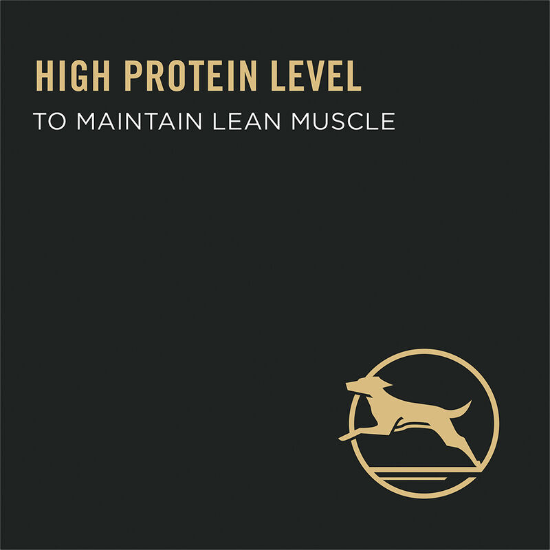 Pro Plan, Specialized Shredded Blend Weigh Management - Chicken & Rice - 2.72 kg - Dry Dog Food image number null