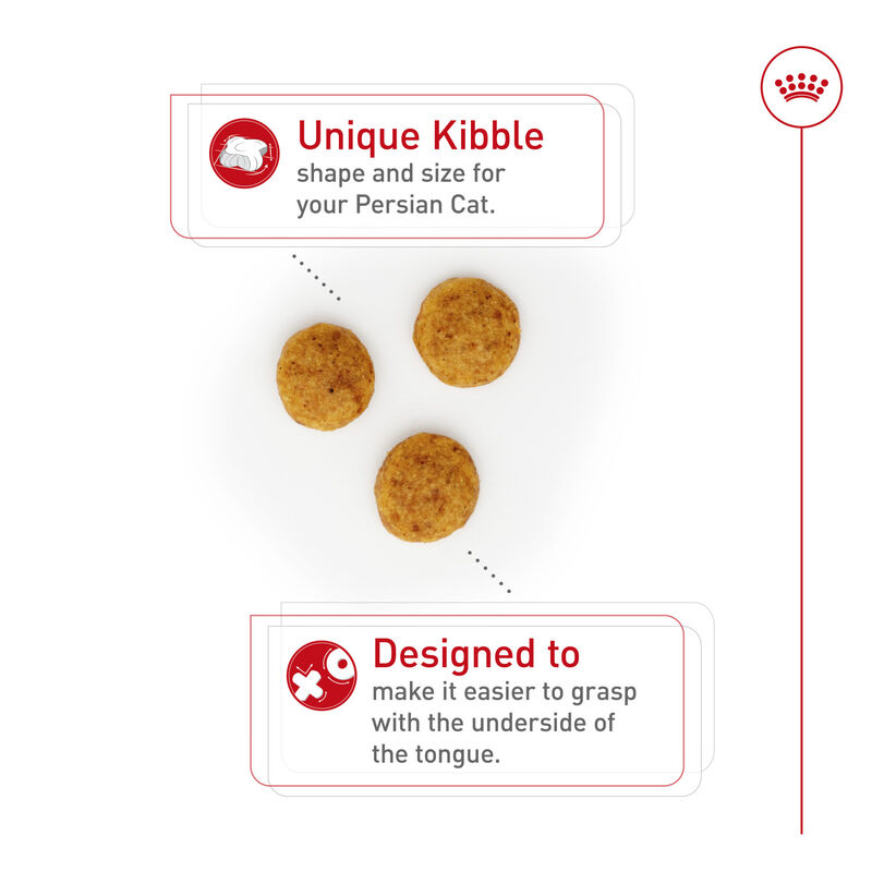 Royal Canin, Feline Breed Nutrition Persian Adult Dry Cat Food - Dry Cat Food image number null