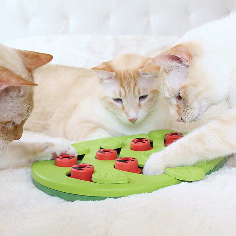 PetStages, Puzzle & Play Buggin Out - Green image number null