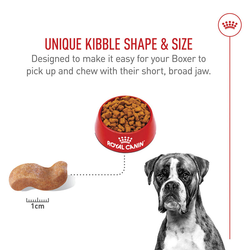 Royal Canin, Breed Health Nutrition Boxer Adult - Dry Dog Food image number null