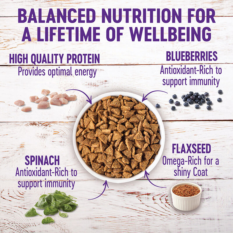 Wellness, Complete Health Small Breed, Turkey & Oatmeal - Dry Dog Food image number null