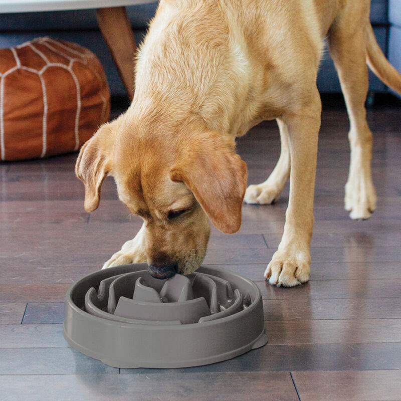 Outward Hound, Fun Feeder Drop - Grey image number null