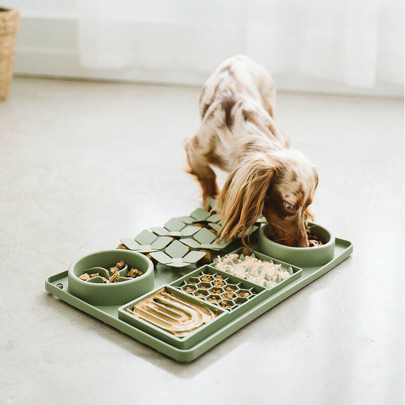 BeOneBreed, Multi Textured Slow Feeder - Green image number null