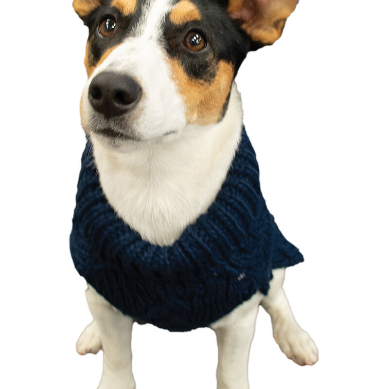 Canada Paws, Wool Sweater - Navy - Dog Sweater image number null