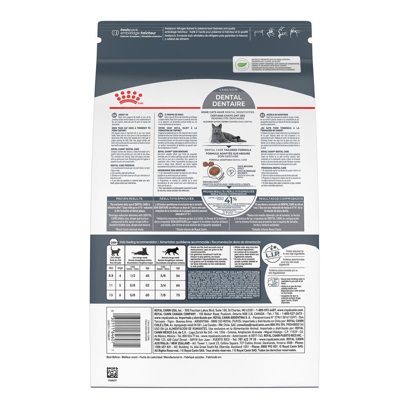 Royal Canin, Feline Care Nutrition - Dental Care - Dry Cat Food image number null
