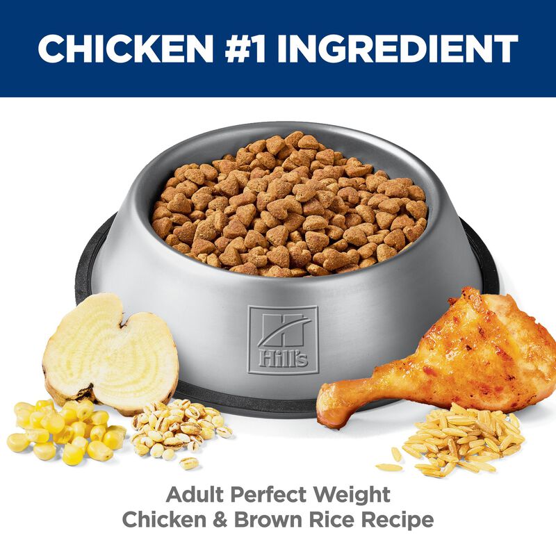 Science Diet, Adult Perfect Weight Chicken Recipe - Dry Dog Food image number null