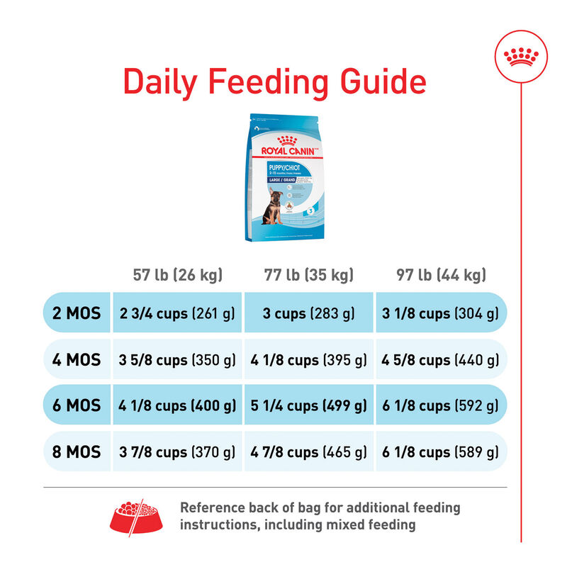 Royal Canin, Puppy, Large Size Health Nutrition - Dry Dog Food image number null