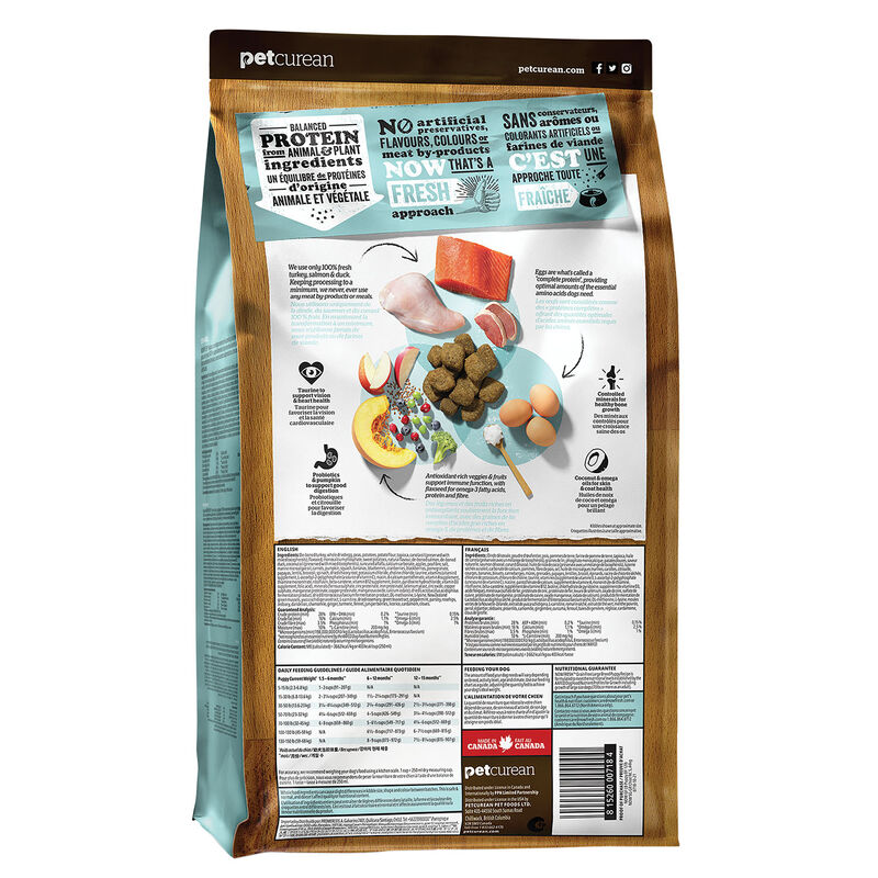 NOW FRESH, Puppy GF Large Breed - 11.3 kg - Dry Dog Food image number null
