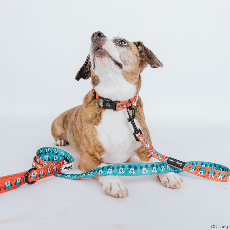 Sassy Woof, Disney Holiday Walkie Pack image number null