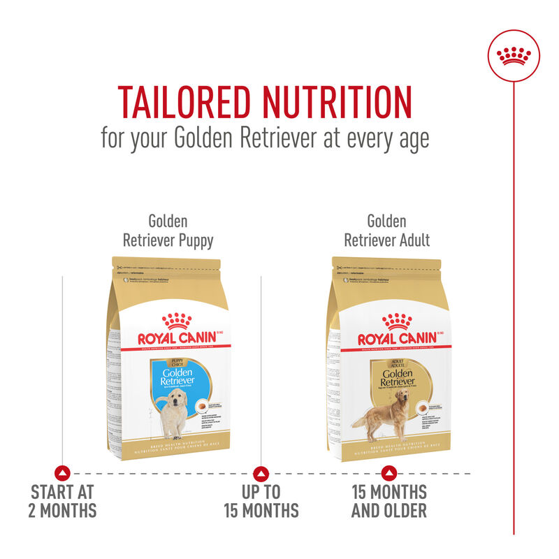 Royal Canin, Breed Health Nutrition Golden Retriever Puppy - Dry Dog Food image number null