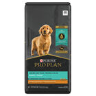 Purina Pro Plan Development Under One Year Puppy, Shredded Blend, Chicken & Rice Dry Dog Food Formul image number null