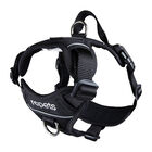 RC Pets, Harness - Momentum - Black - Dog Harness image number null