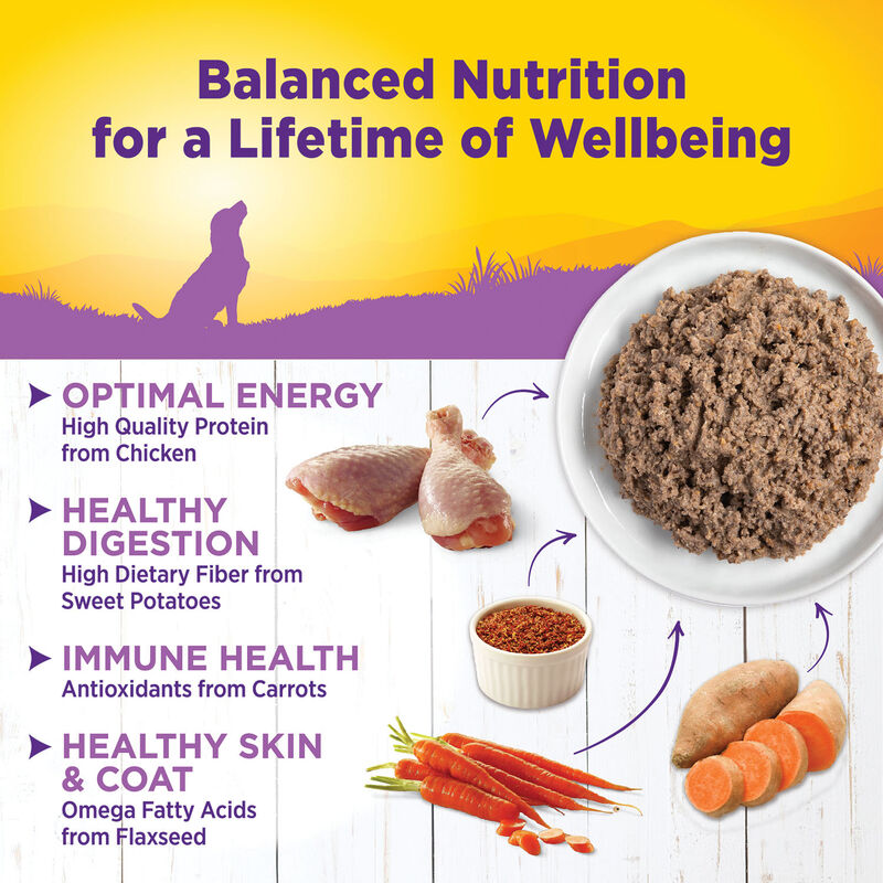 Wellness, Canned Dog Food, Senior - Wet Dog Food image number null