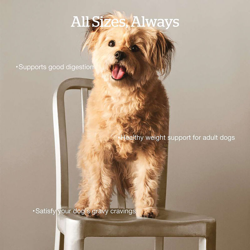 Good Gravy - Cage-Free Chicken Recipe with Ancient Grains - Adult - Dry Dog Food image number null
