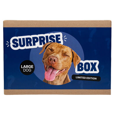 Surprise Box - Dog - Large