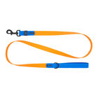 RC Pets, Waterproof Leash - Orange/Sapphire image number null