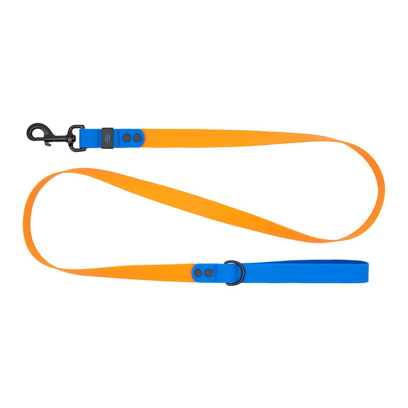 RC Pets, Waterproof Leash - Orange/Sapphire image number null
