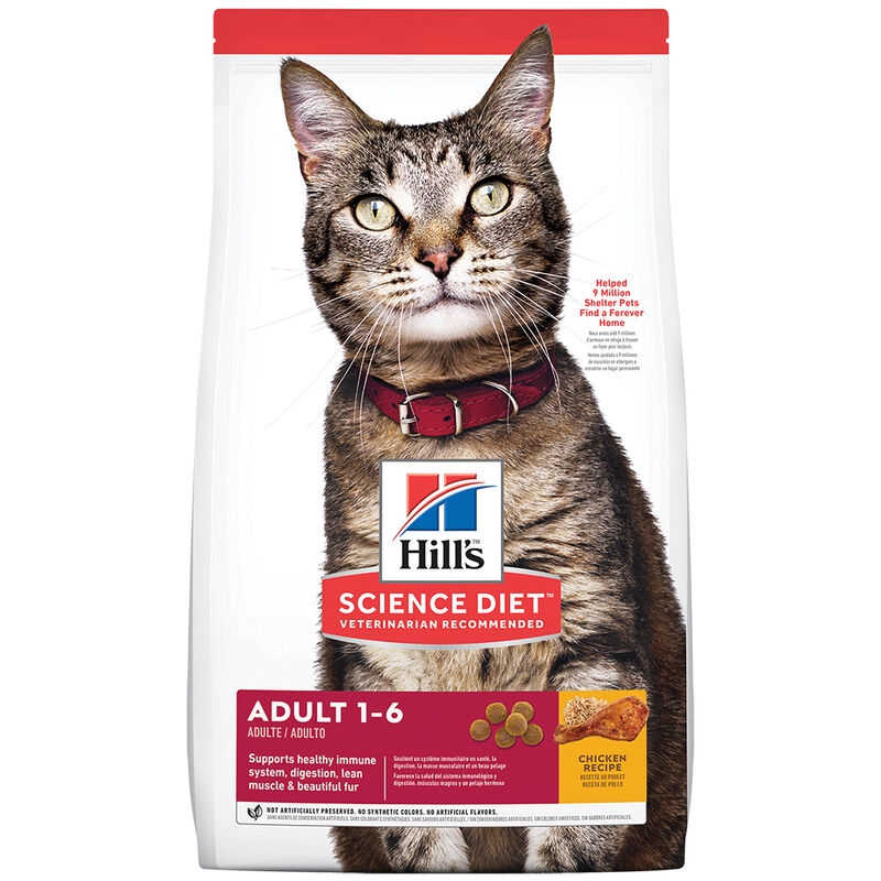 Science Diet, Adult Chicken Recipe Dry Cat Food - Dry Cat Food image number null