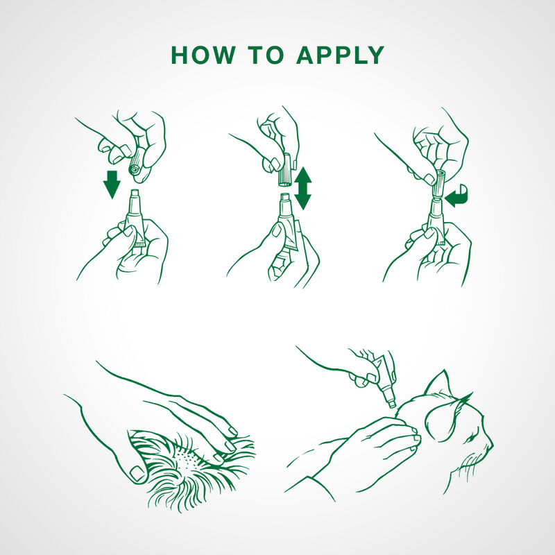 Advantage II, Kitten Flea Treatment & Protection, <2.3kg (2 dose) image number null