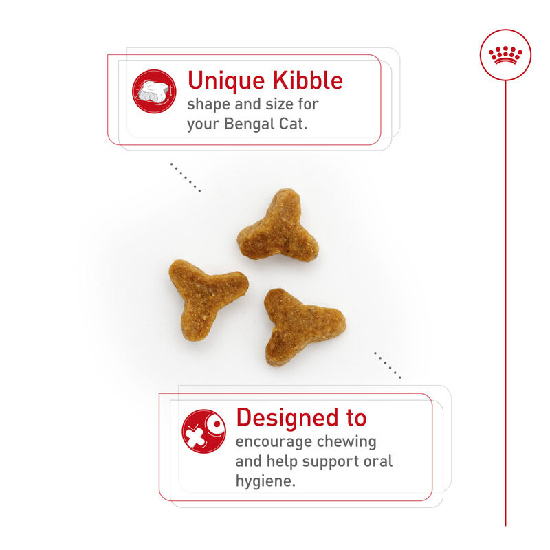 Royal Canin, Feline Breed Health Nutrition  Bengal - Dry Cat Food image number null