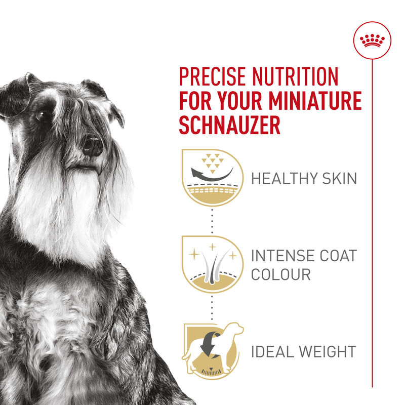 Royal Canin, Breed Health Nutrition Miniature Schnauzer Adult - Dry Dog Food image number null