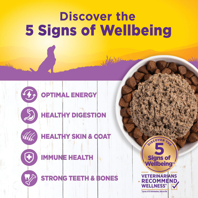 Wellness, Canned Dog Food, Senior - Wet Dog Food image number null