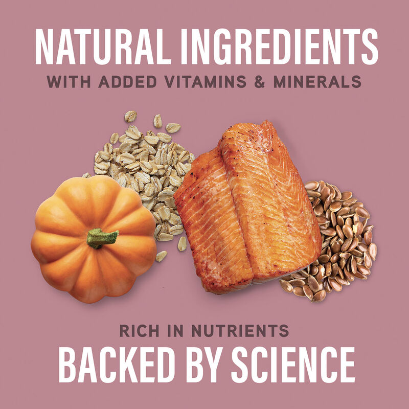 Natural Balance, Specialized Nutrition - Sensitive Skin & Stomach Salmon & Oatmeal Formula - Dry Dog image number null