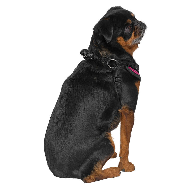 Canada Pooch, Easy-On Step-In Harness Plum image number null