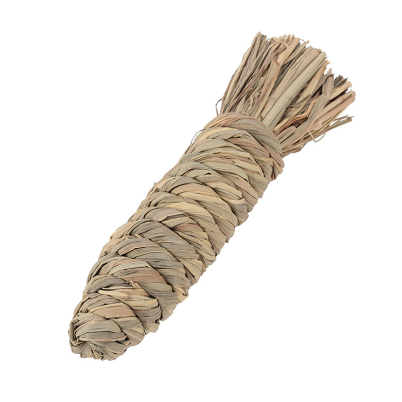 Living World, Small Animal Chew Toy - Carrot image number null