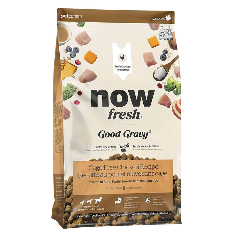 Good Gravy - Cage-Free Chicken Recipe with Ancient Grains - Adult - Dry Dog Food image number null