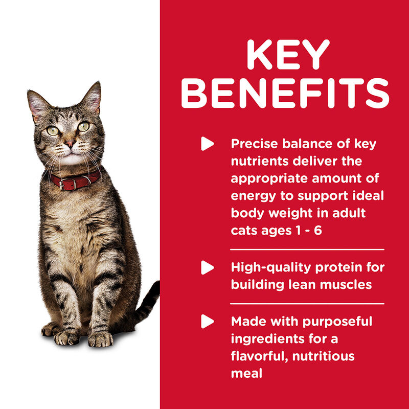Science Diet, Adult Healthy Cuisine Seared Tuna & Carrot Medley - 79.37 g - Wet Cat Food image number null