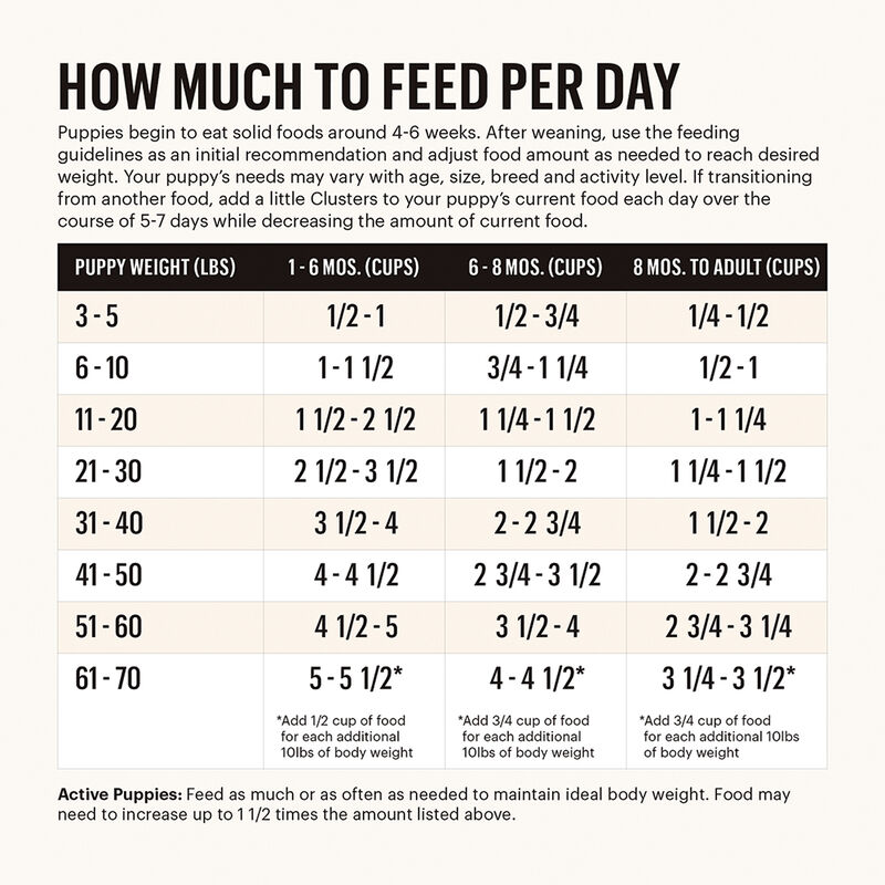 The Honest Kitchen, Puppy, Whole Food Clusters, Whole Grain Chicken & Oat Recipe - Dry Dog Food image number null