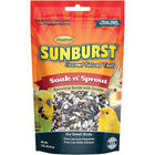 Higgins, Sunburst - Soak & Sprout - Small -  85 g image number null