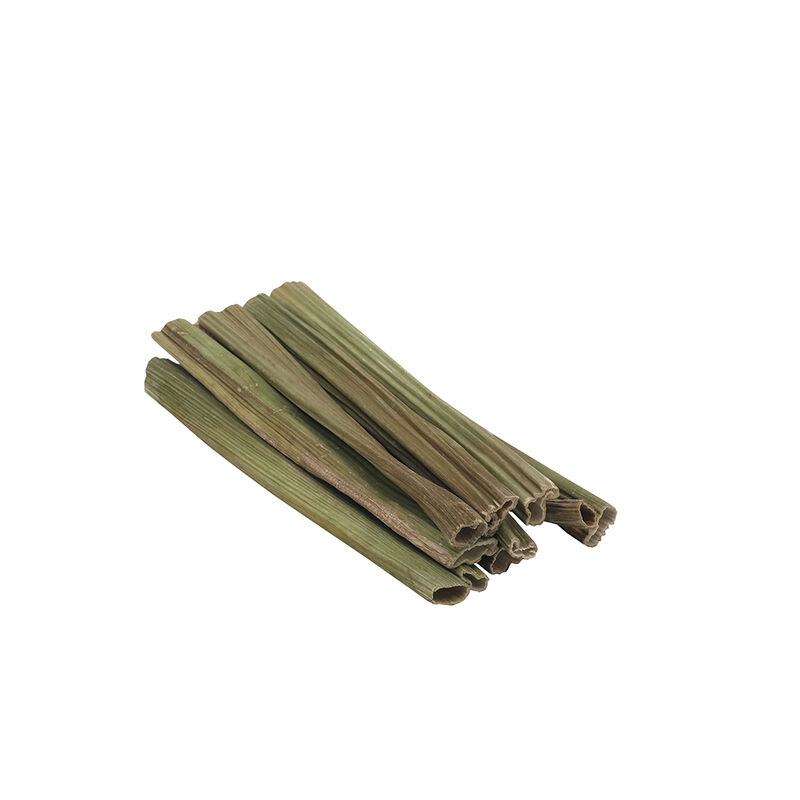 Living World, Small Animal Chews - Papaya Sticks - 10 pk image number null