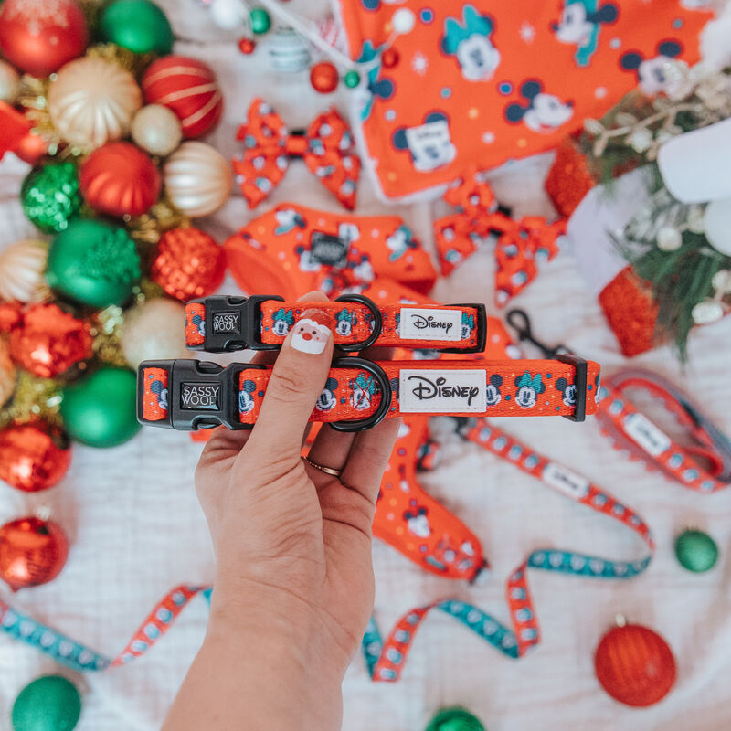 Sassy Woof, Disney Holiday Walkie Pack image number null