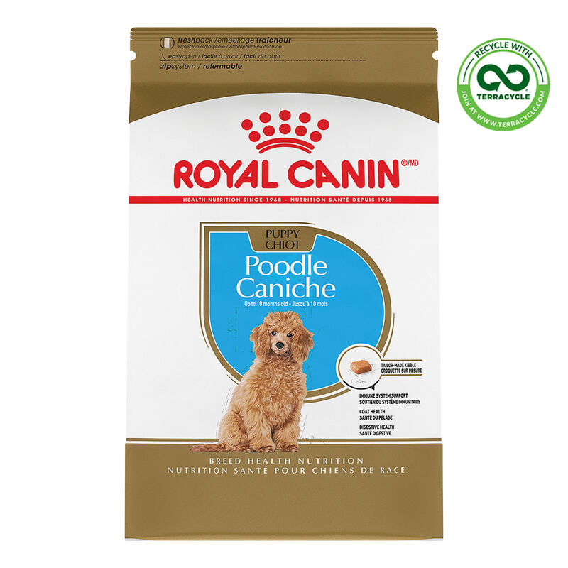 Royal Canin, Breed Health Nutrition Poodle Puppy - Dry Dog Food image number null