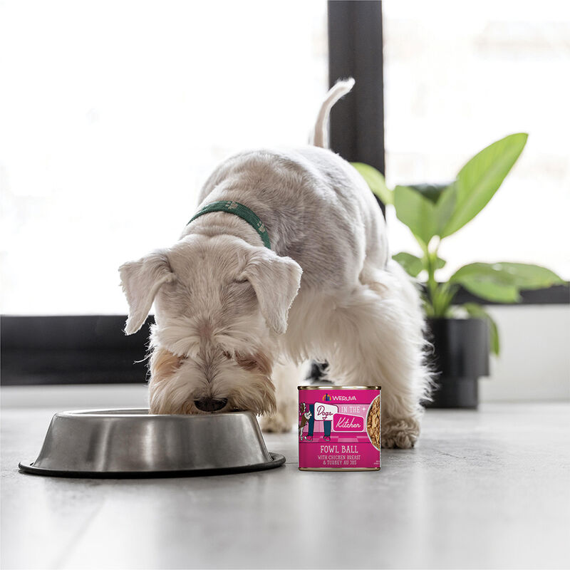 Weruva, Can, Adult - Fowl Ball - 283 g - Minced - Wet Dog Food image number null