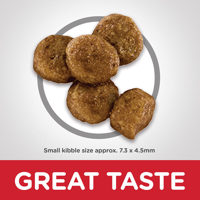 Science Diet, Puppy Small Bites Chicken Meal & Barley Recipe Dry Dog Food - Dry Dog Food image number null