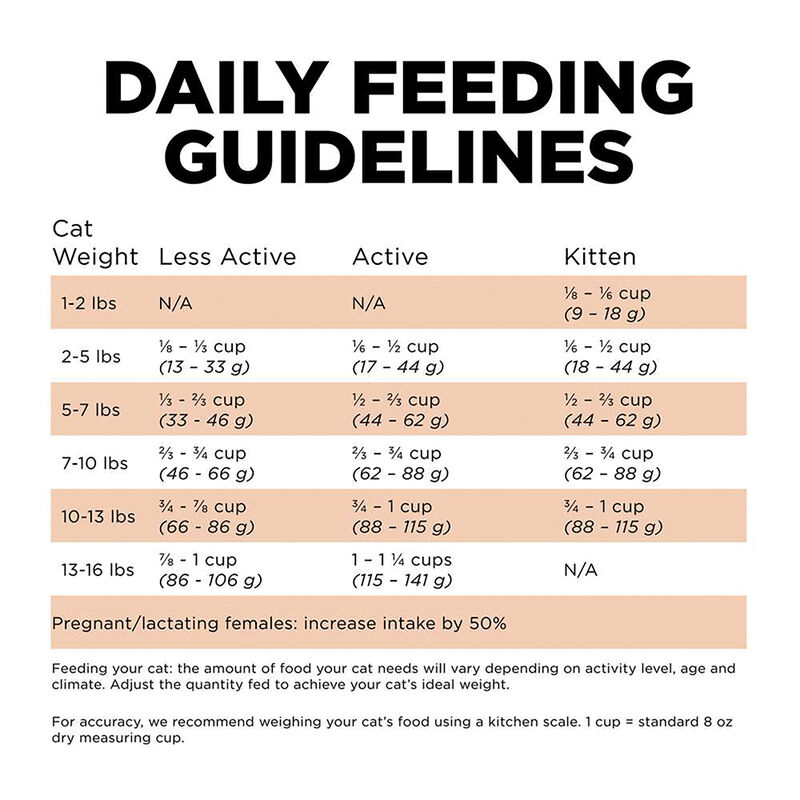 GO! SOLUTIONS SKIN + COAT CARE Grain Free Salmon Recipe for cats image number null