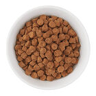 Feline Adult - Chicken & Egg image number null