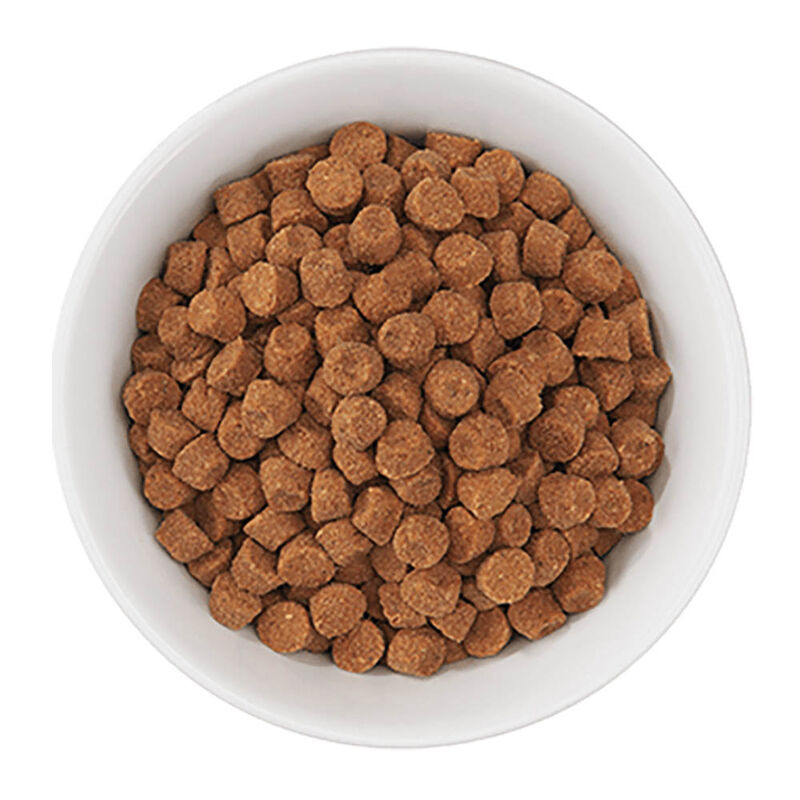 Feline Adult - Chicken & Egg image number null