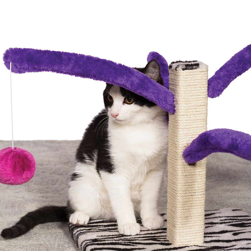 Prevue, Bounce and Spring Cat Post image number null